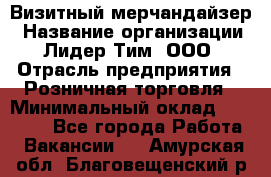 Визитный мерчандайзер › Название организации ­ Лидер Тим, ООО › Отрасль предприятия ­ Розничная торговля › Минимальный оклад ­ 15 000 - Все города Работа » Вакансии   . Амурская обл.,Благовещенский р-н